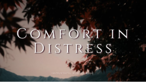 Comfort In Times of Distress